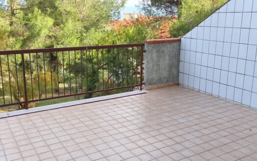 Casa indipendente con giardino e terrazzo
